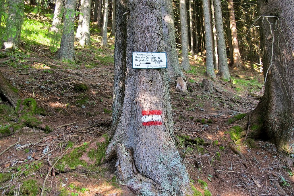 93 am vierten Tag gehen wir ueber die Ogrisalm den Stinzesteig zur Klagenfurter Huette und auf den Kosiak.jpg